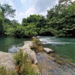 listing image thumbnail with ID 66258