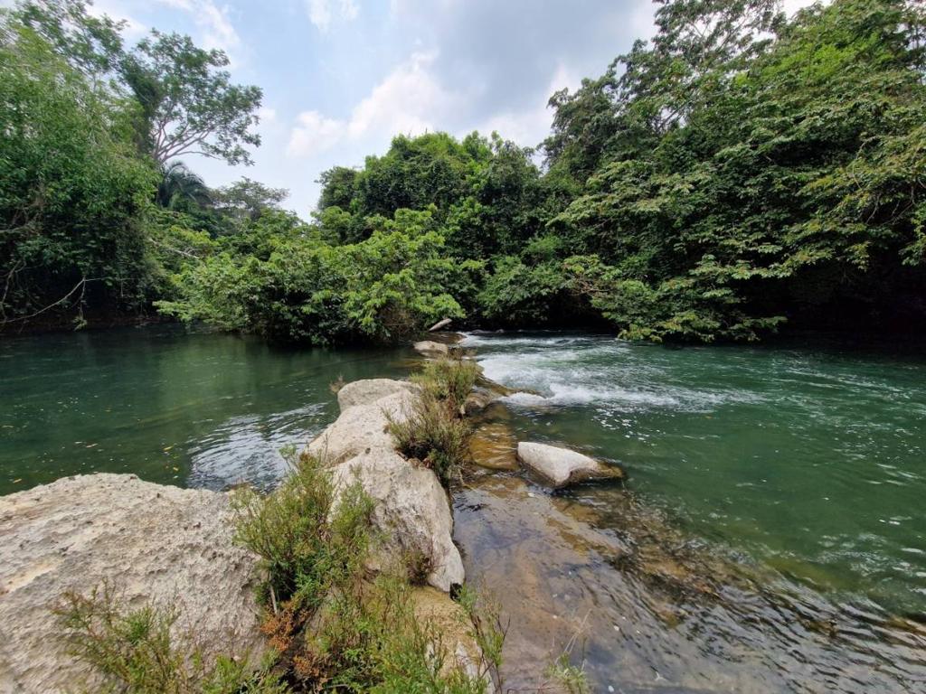 listing image with ID 66258