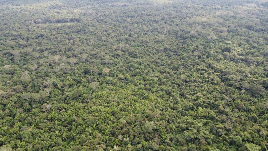 listing image with ID 65041