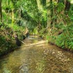 listing image thumbnail with ID 67787