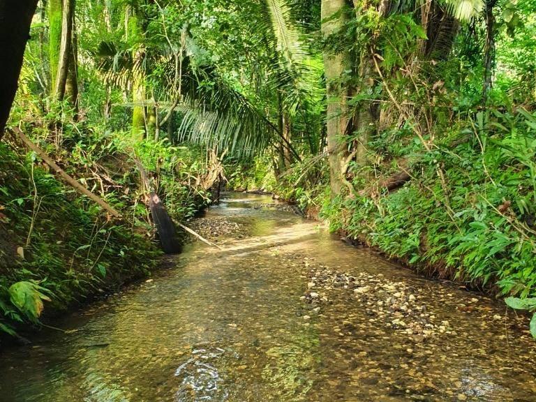 listing image with ID 67787