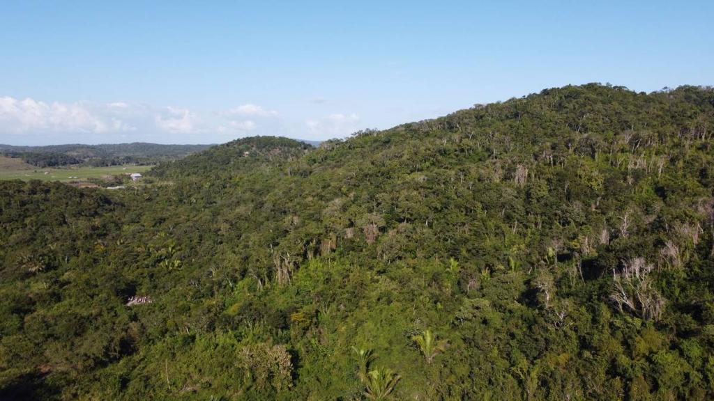 listing image with ID 67576