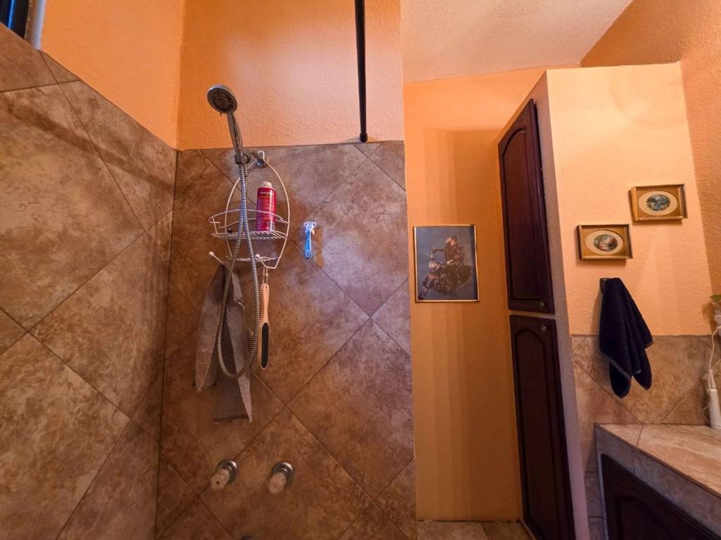 listing image with ID 64306