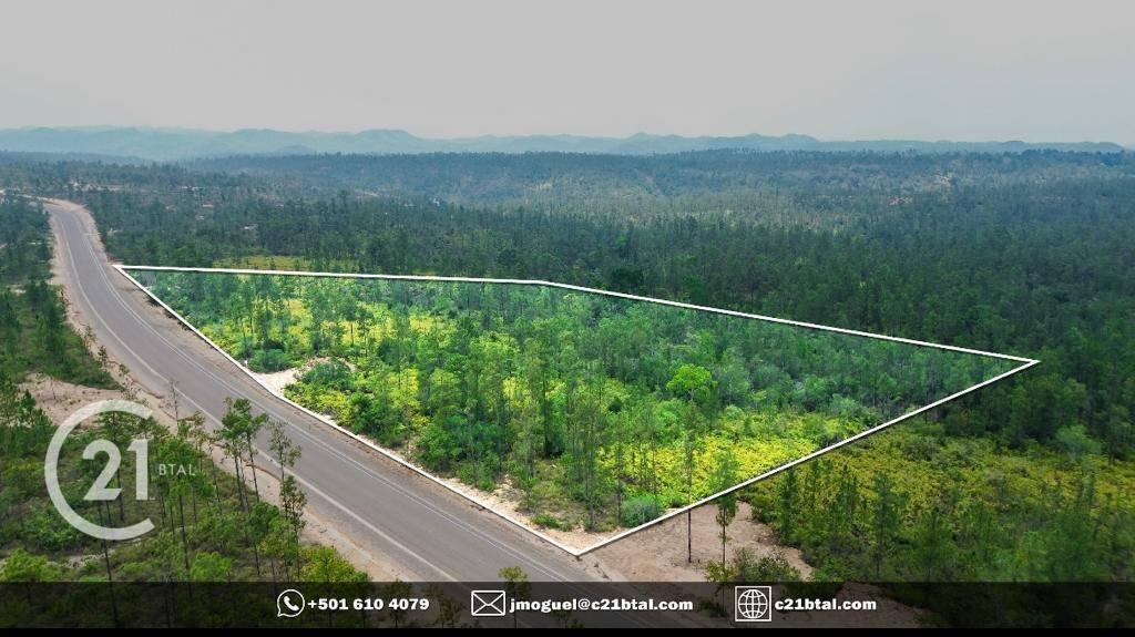 listing image with ID 65163