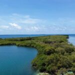 listing image thumbnail with ID 66872