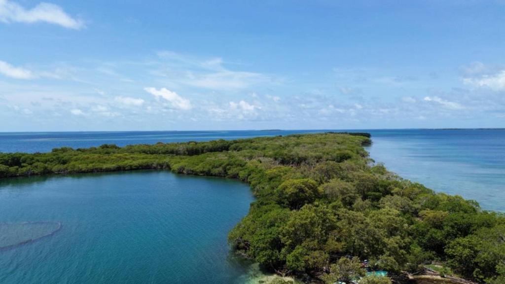 listing image with ID 66872