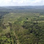 listing image thumbnail with ID 64975