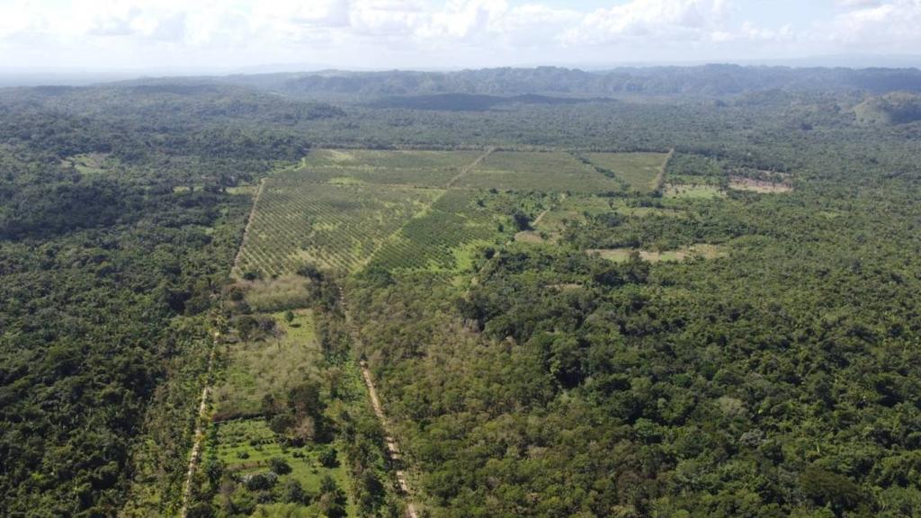 listing image with ID 64975