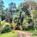 listing image thumbnail with ID 65541