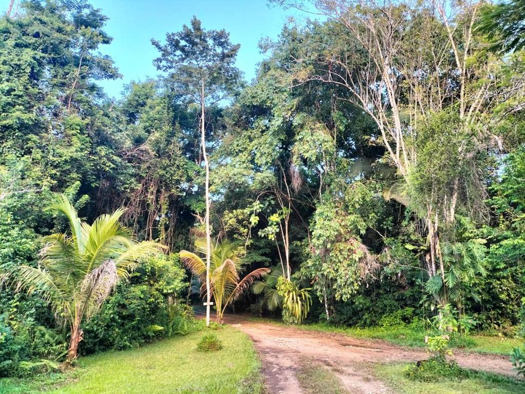 listing image with ID 65541