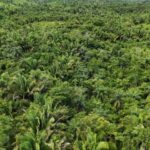 listing image thumbnail with ID 66654