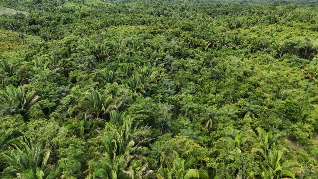 listing image with ID 66654