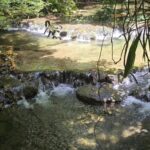 listing image thumbnail with ID 68282