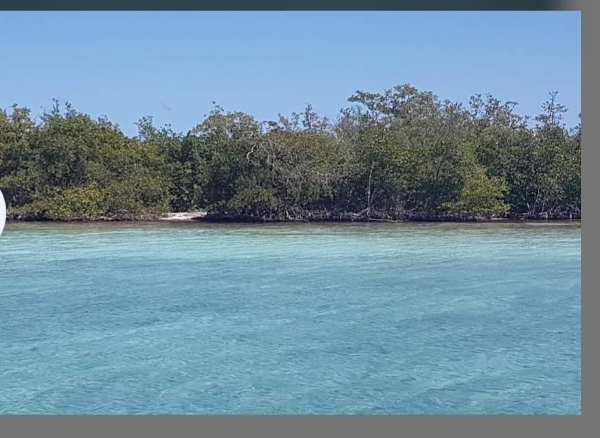 listing image with ID 67433