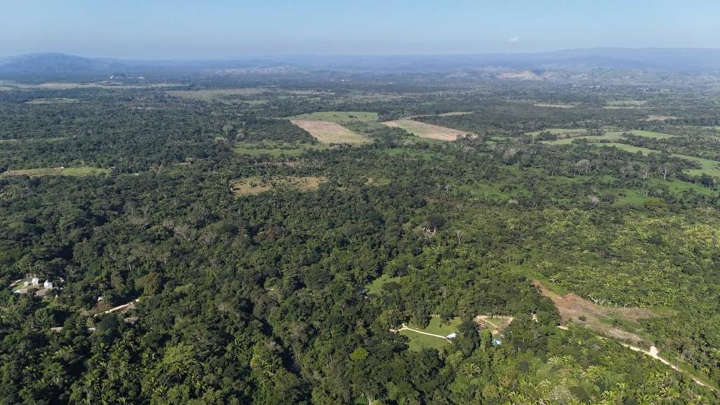 listing image with ID 64592