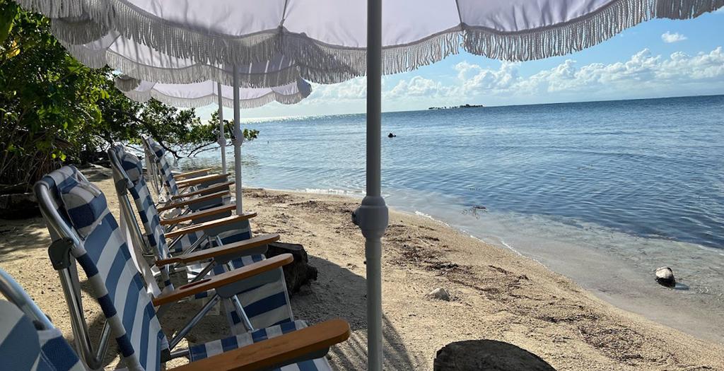 listing image with ID 68322