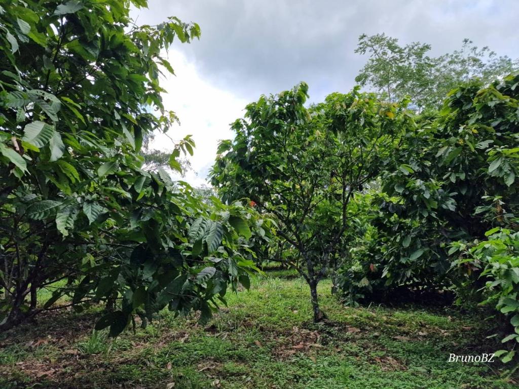 listing image with ID 64208