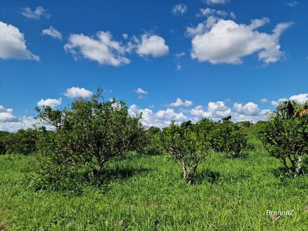 listing image with ID 64972