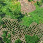 listing image thumbnail with ID 67645