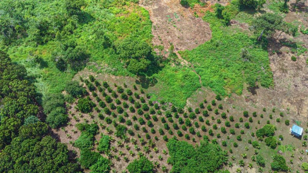 listing image with ID 67645