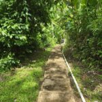 listing image thumbnail with ID 68270