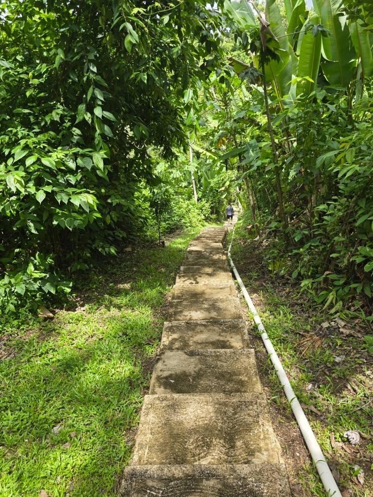 listing image with ID 68270