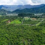 listing image thumbnail with ID 69218