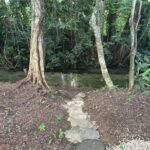 listing image thumbnail with ID 65897