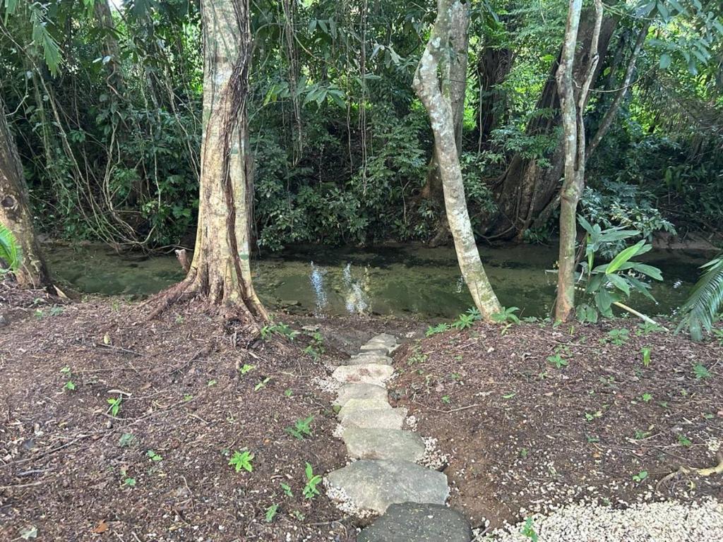 listing image with ID 65897