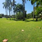 listing image thumbnail with ID 67740