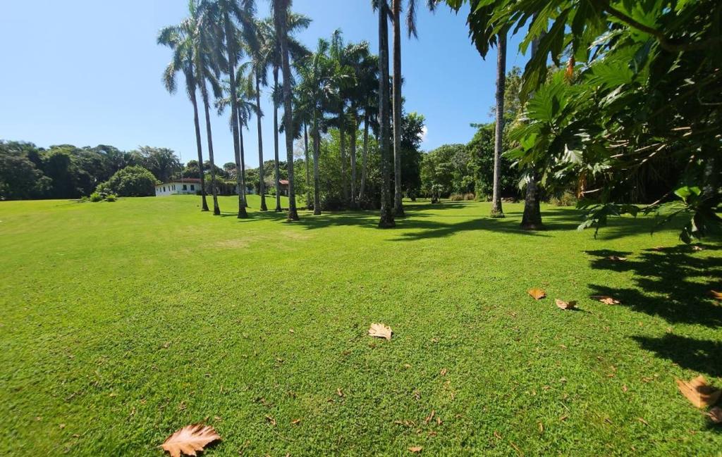 listing image with ID 67740