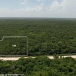 listing image thumbnail with ID 69324