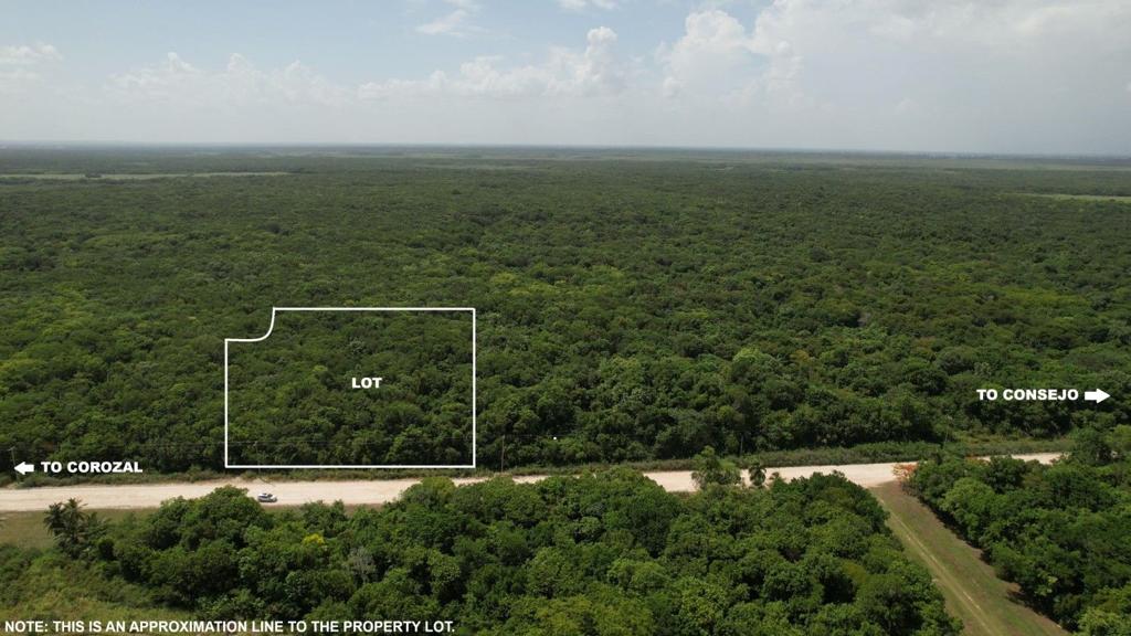 listing image with ID 69324