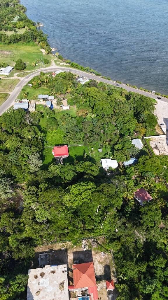 listing image with ID 64740