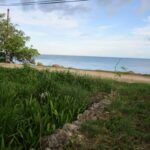 listing image thumbnail with ID 64178