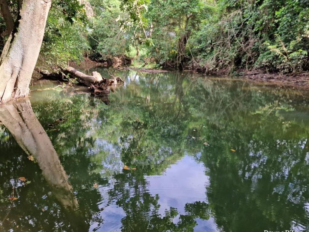 listing image with ID 67527