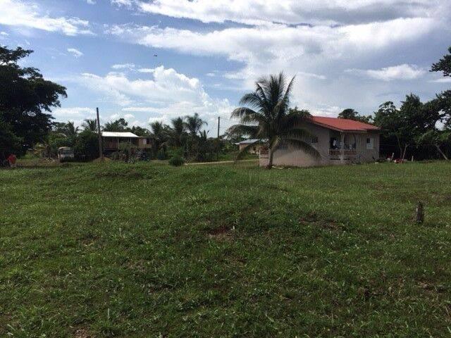 listing image with ID 67045