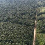 listing image thumbnail with ID 68076