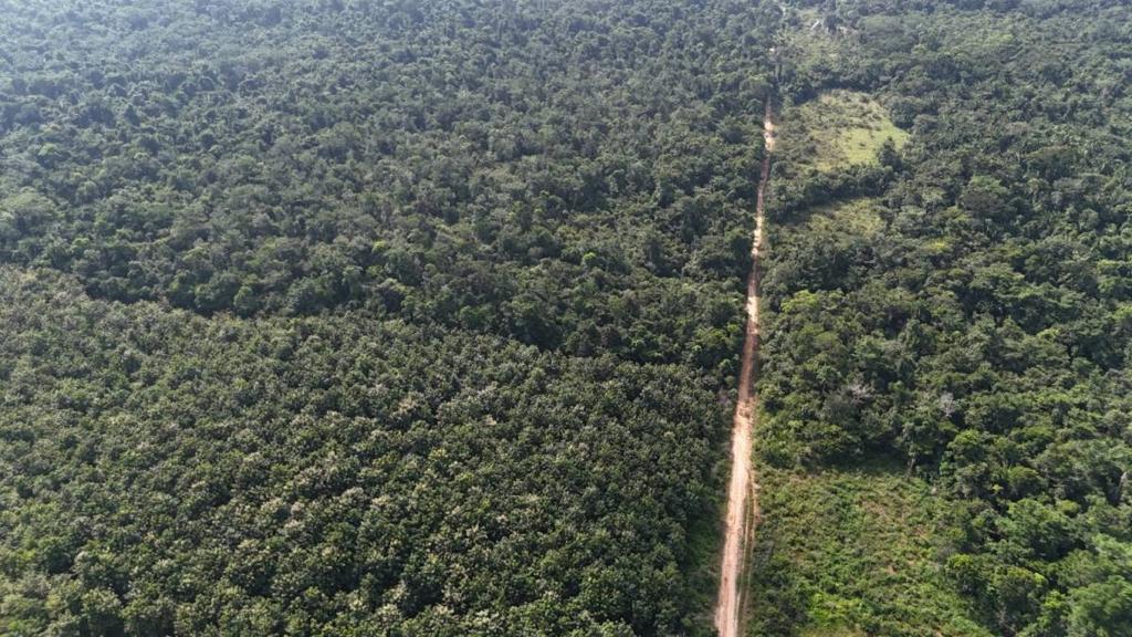 listing image with ID 68076