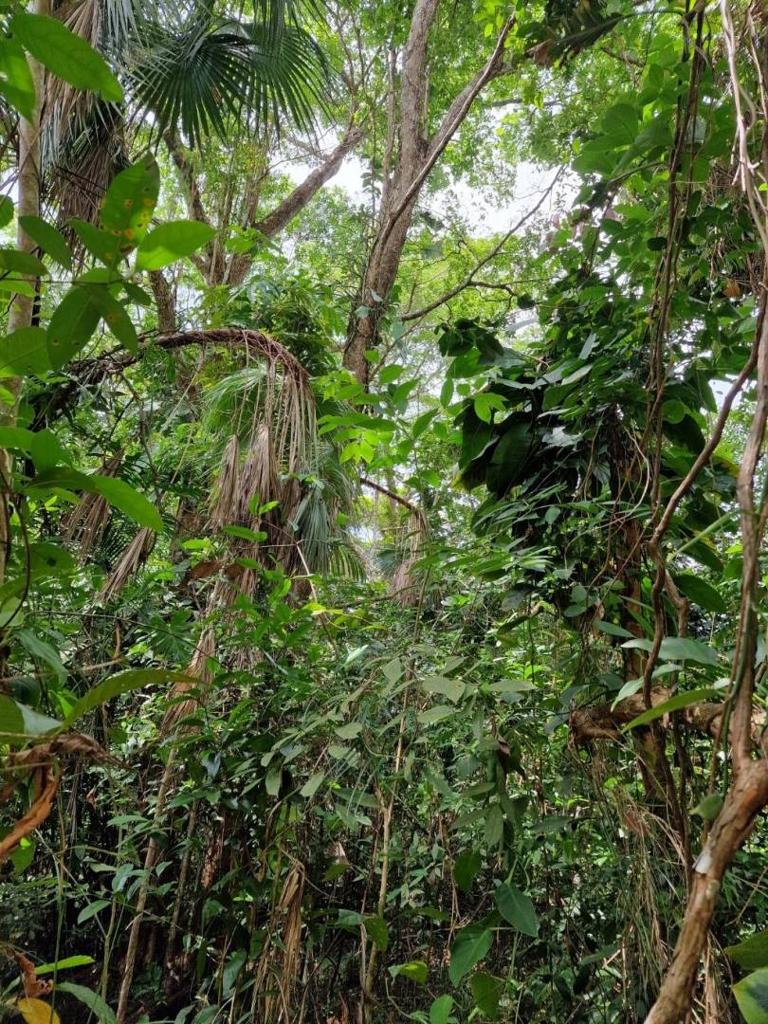 listing image with ID 63965