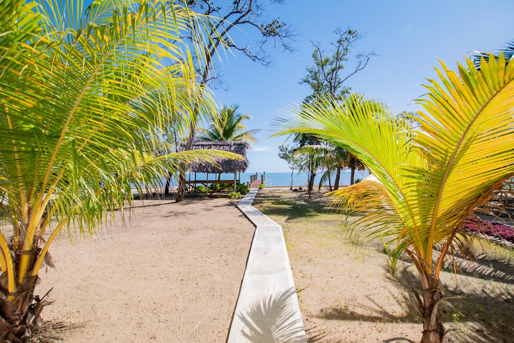 listing image with ID 68821