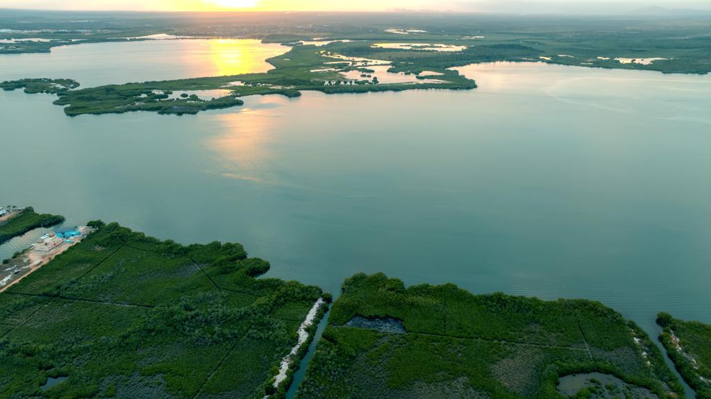 listing image with ID 68718