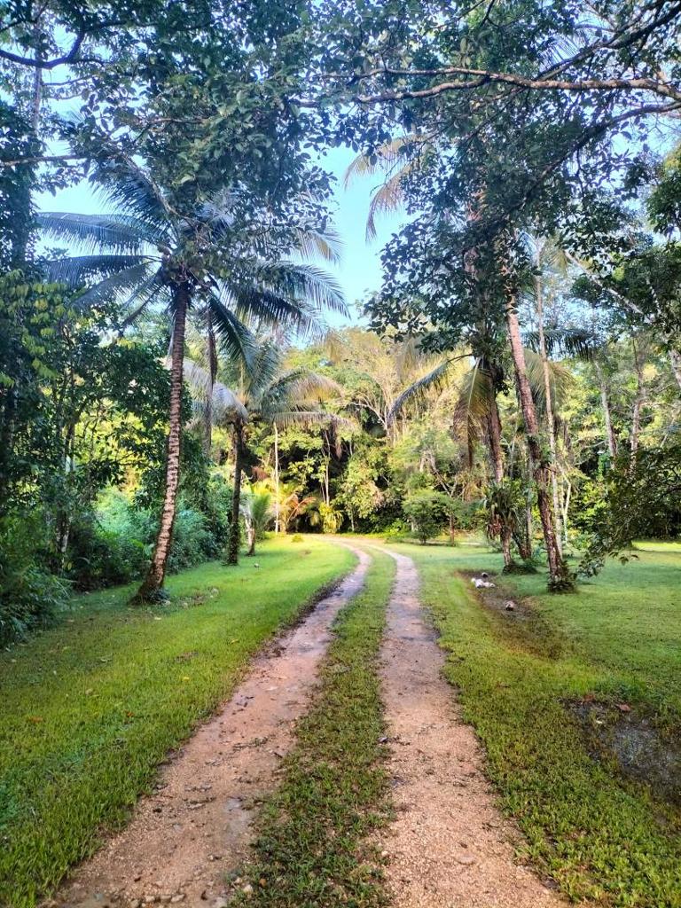 listing image with ID 65539