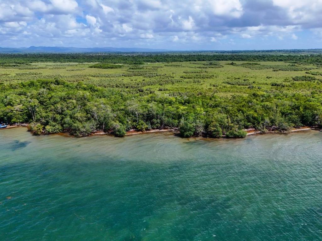 listing image with ID 63742