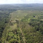 listing image thumbnail with ID 68133