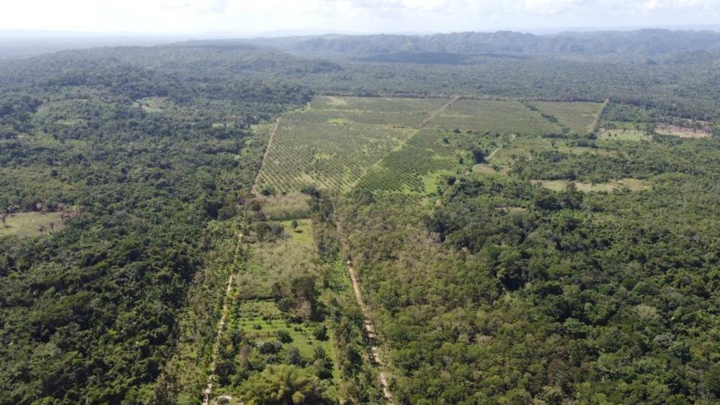 listing image with ID 68133