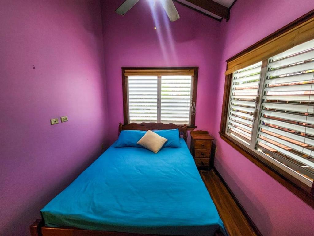 listing image with ID 66072