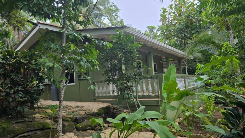 listing image with ID 65871