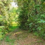 listing image thumbnail with ID 67371