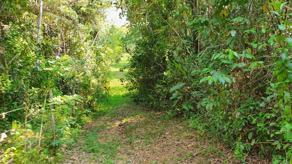 listing image with ID 67371